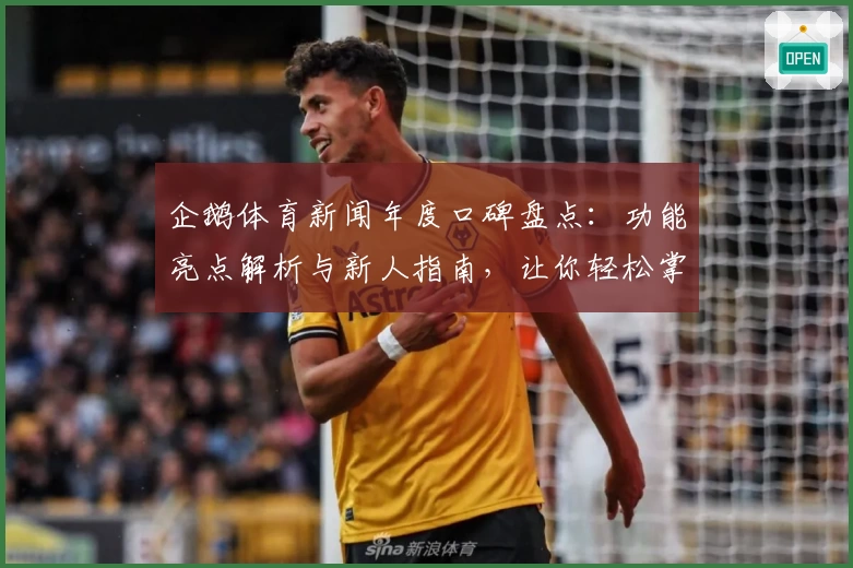 企鹅体育新闻年度口碑盘点：功能亮点解析与新人指南，让你轻松掌握一手赛事资讯