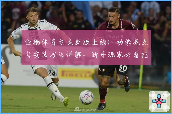 企鹅体育电竞新版上线：功能亮点与安装方法详解，新手玩家必看指南
