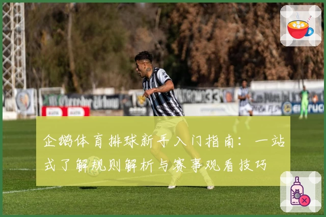 企鹅体育排球新手入门指南：一站式了解规则解析与赛事观看技巧
