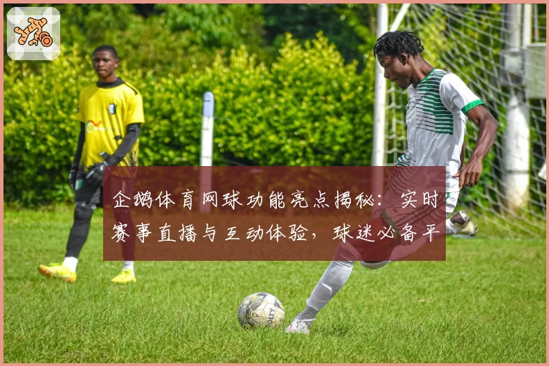 企鹅体育网球功能亮点揭秘：实时赛事直播与互动体验，球迷必备平台