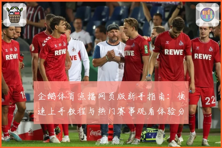 企鹅体育点播网页版新手指南：快速上手教程与热门赛事观看体验分析