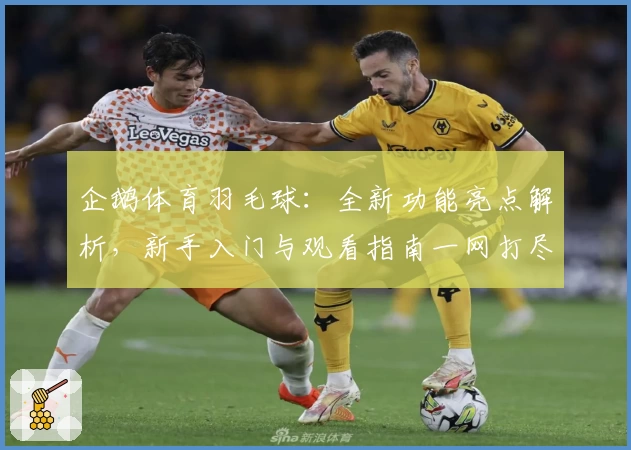 企鹅体育羽毛球：全新功能亮点解析，新手入门与观看指南一网打尽